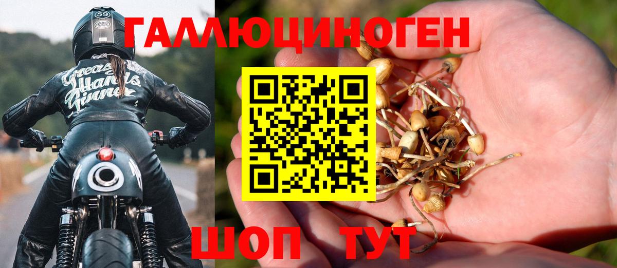 Псилоцибиновые грибы Psilocybine cubensis  Вход с VPN  Черногорск  Псилоцибиновые грибы ЛСД 